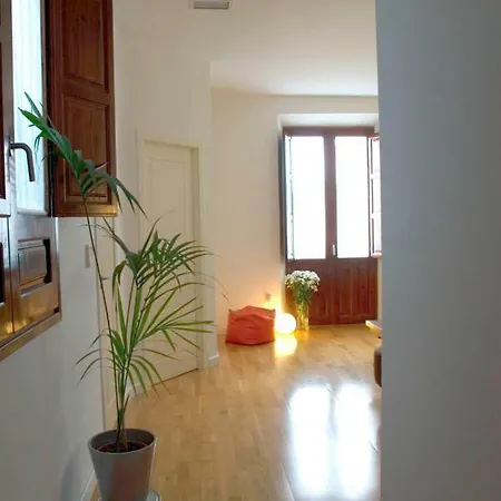 Apartment And Stylish